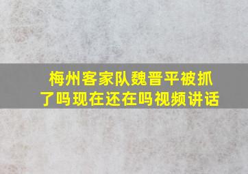 梅州客家队魏晋平被抓了吗现在还在吗视频讲话