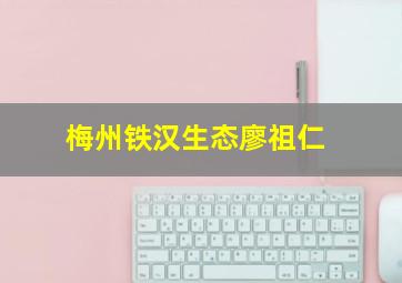 梅州铁汉生态廖祖仁