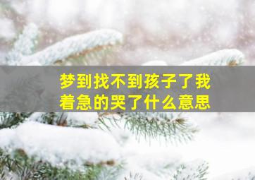 梦到找不到孩子了我着急的哭了什么意思