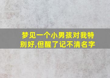 梦见一个小男孩对我特别好,但醒了记不清名字