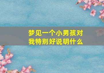 梦见一个小男孩对我特别好说明什么