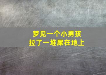 梦见一个小男孩拉了一堆屎在地上