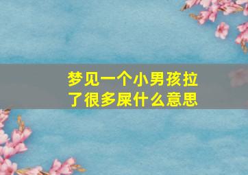 梦见一个小男孩拉了很多屎什么意思