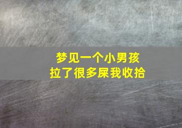 梦见一个小男孩拉了很多屎我收拾