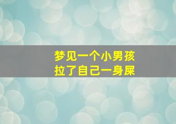 梦见一个小男孩拉了自己一身屎