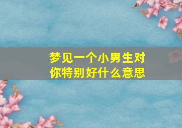 梦见一个小男生对你特别好什么意思