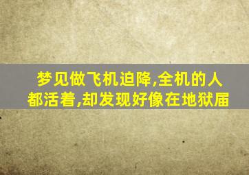 梦见做飞机迫降,全机的人都活着,却发现好像在地狱届