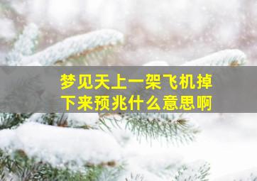 梦见天上一架飞机掉下来预兆什么意思啊