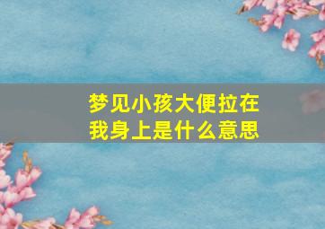 梦见小孩大便拉在我身上是什么意思