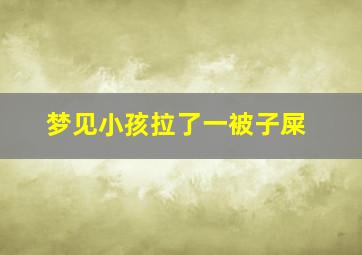 梦见小孩拉了一被子屎