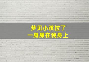 梦见小孩拉了一身屎在我身上