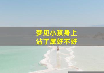 梦见小孩身上沾了屎好不好