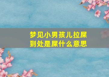 梦见小男孩儿拉屎到处是屎什么意思