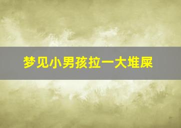 梦见小男孩拉一大堆屎