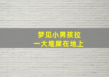 梦见小男孩拉一大堆屎在地上