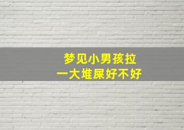 梦见小男孩拉一大堆屎好不好