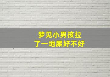 梦见小男孩拉了一地屎好不好