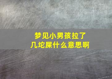 梦见小男孩拉了几坨屎什么意思啊