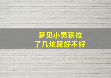 梦见小男孩拉了几坨屎好不好