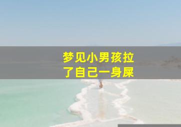 梦见小男孩拉了自己一身屎