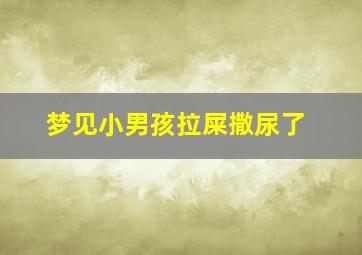 梦见小男孩拉屎撒尿了