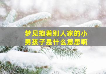 梦见抱着别人家的小男孩子是什么意思啊