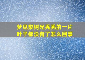 梦见梨树光秃秃的一片叶子都没有了怎么回事