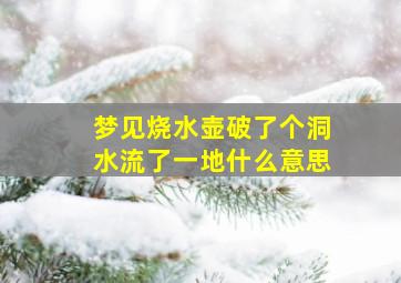 梦见烧水壶破了个洞水流了一地什么意思