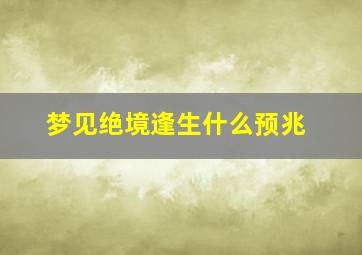 梦见绝境逢生什么预兆