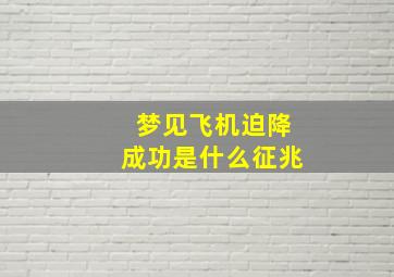 梦见飞机迫降成功是什么征兆