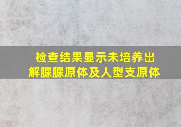 检查结果显示未培养出解脲脲原体及人型支原体