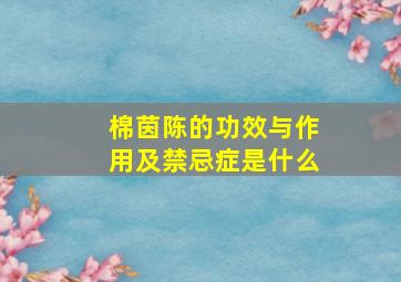 棉茵陈的功效与作用及禁忌症是什么