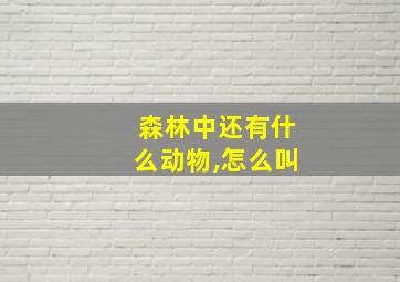 森林中还有什么动物,怎么叫