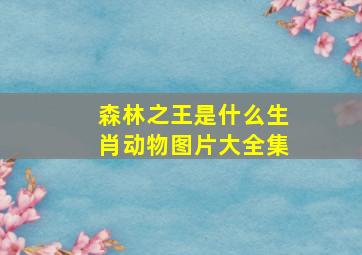 森林之王是什么生肖动物图片大全集