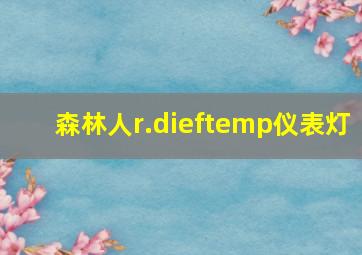 森林人r.dieftemp仪表灯