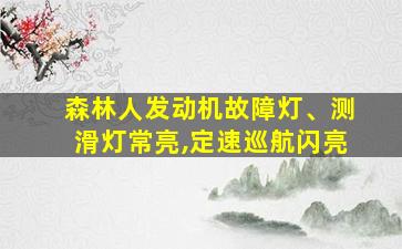 森林人发动机故障灯、测滑灯常亮,定速巡航闪亮