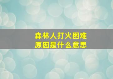 森林人打火困难原因是什么意思