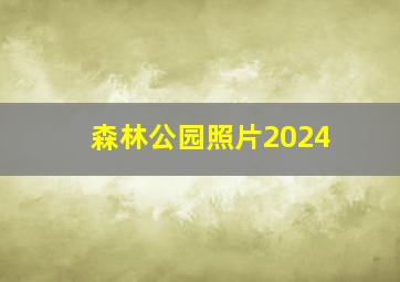 森林公园照片2024