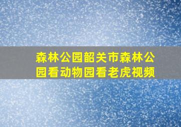 森林公园韶关市森林公园看动物园看老虎视频