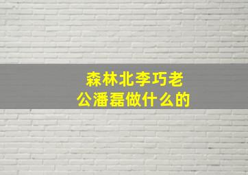 森林北李巧老公潘磊做什么的