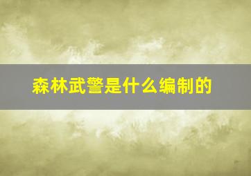 森林武警是什么编制的