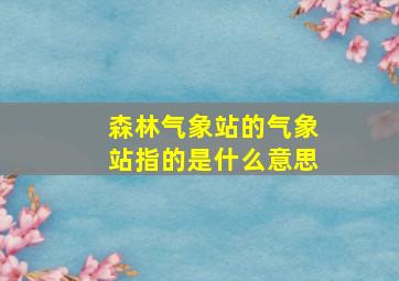 森林气象站的气象站指的是什么意思