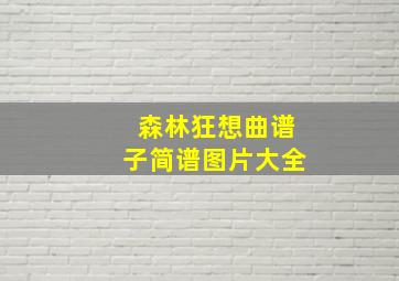 森林狂想曲谱子简谱图片大全