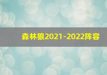 森林狼2021-2022阵容