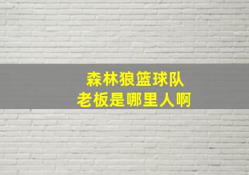 森林狼篮球队老板是哪里人啊