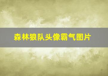 森林狼队头像霸气图片