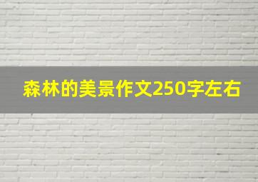 森林的美景作文250字左右