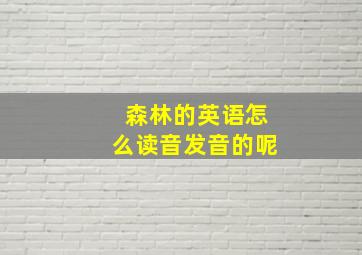 森林的英语怎么读音发音的呢