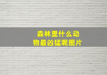 森林里什么动物最凶猛呢图片