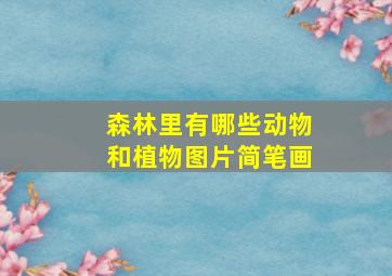 森林里有哪些动物和植物图片简笔画